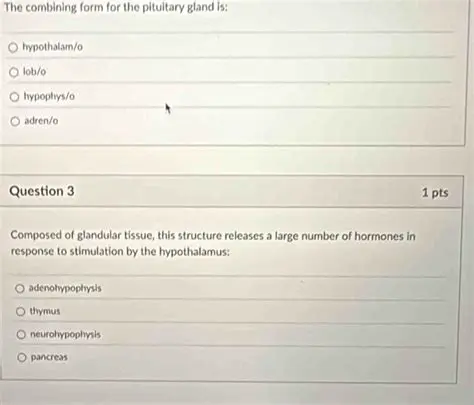 The Combining Form for the Pituitary Gland