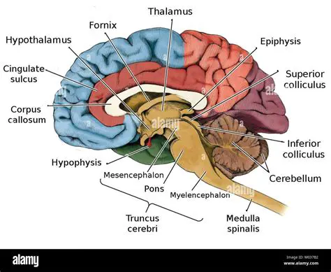 The Complexities of Identity