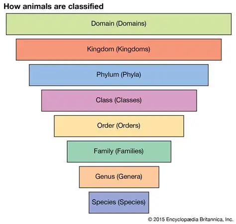 The Complexity of Taxonomy