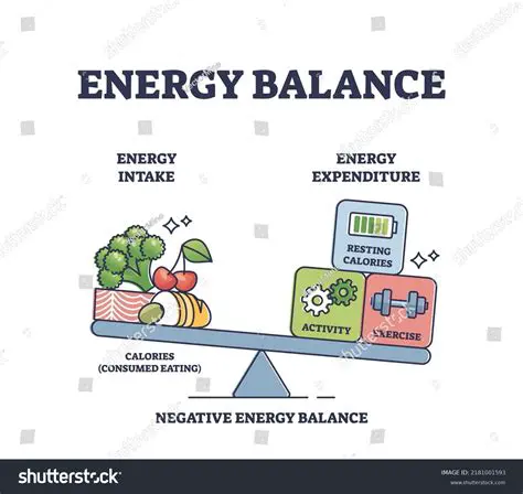 The Components of Energy Balance