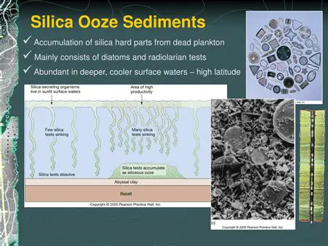 The Composition of Siliceous Ooze