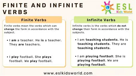 The Concept of Finiteness and Infinity