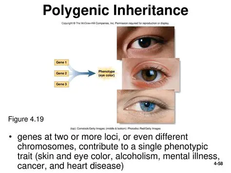 The Concept of Polygenic Inheritance