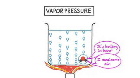 The Concept of Vapor Pressure
