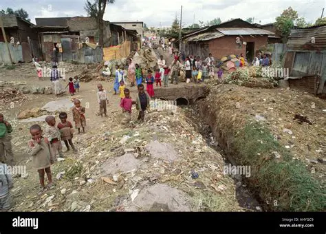 The Conditions of Slum Dwellers