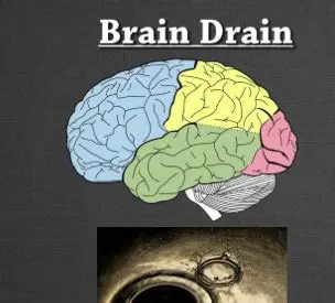 The Consequences of Brain Drain