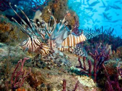 The Consequences of Invasive Species on Ecosystem Stability