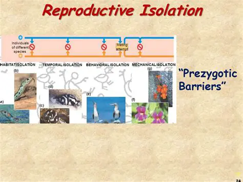 The Consequences of Reproductive Isolation