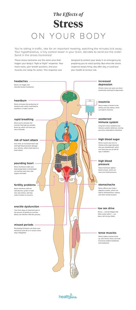 The Consequences of Stress