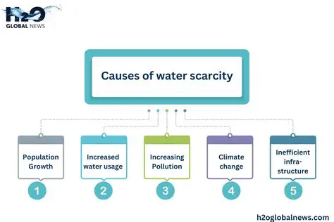 The Consequences of Water Scarcity