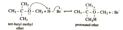 The Content and Effectiveness of Methyl Bromide