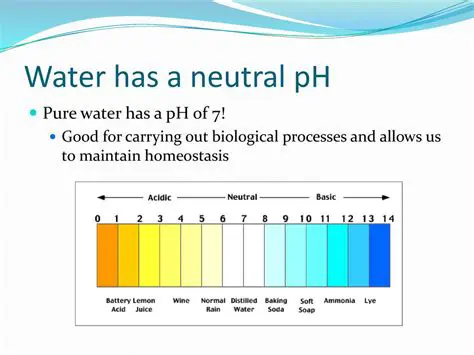 The Correct Explanation for the pH of Pure Water