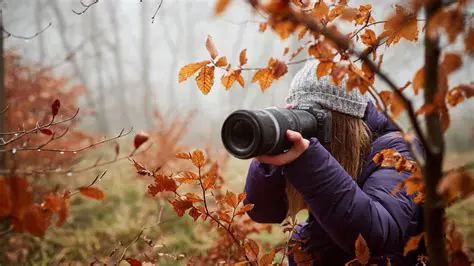 The Creative Options of Digital Photography