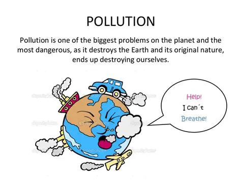 The Definition of Pollution