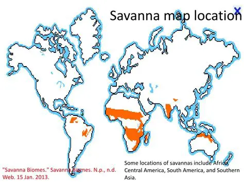 The Definition of Savannas
