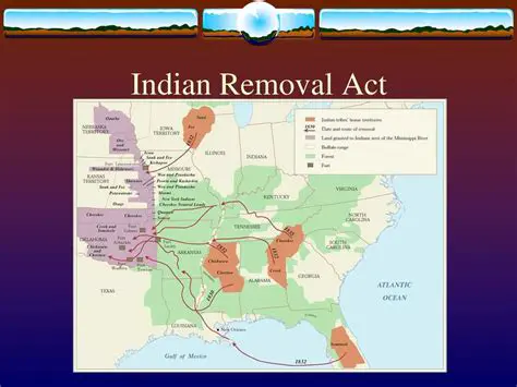 The Devastating Impact of the Indian Removal Act on the Southeast