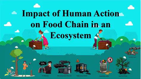The Devastating Impact on Food Chains