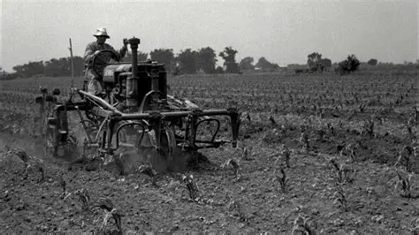 The Development of Tractors in the Early 20th Century