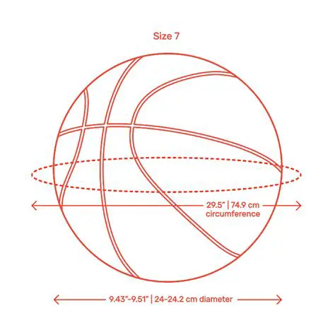The Diameter of a Basketball