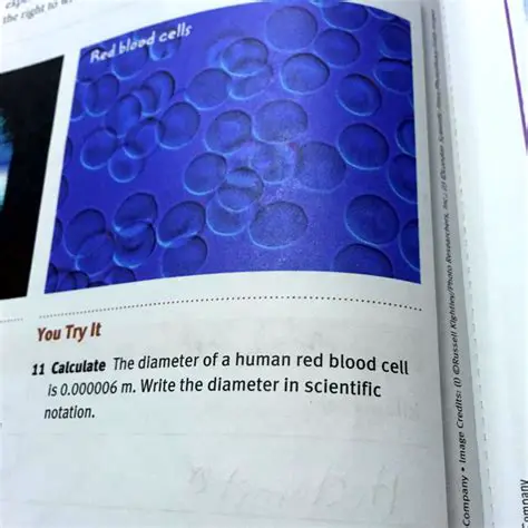 The Diameter of a Human Red Blood Cell in Scientific Notation