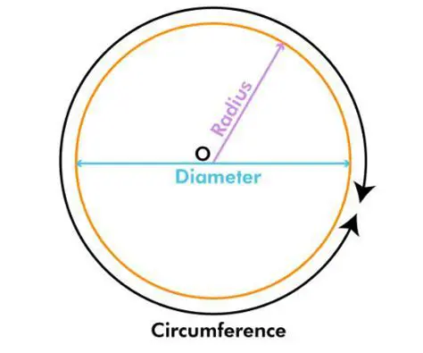 The Diameter of the Circle