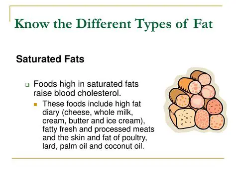 The Different Types of Fat