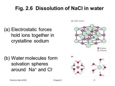 The Dissolution of NaCl in Water