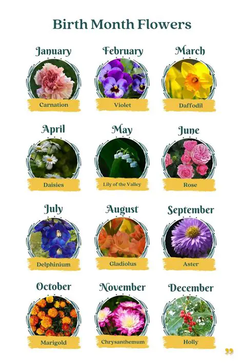 The Distribution of Birth Months