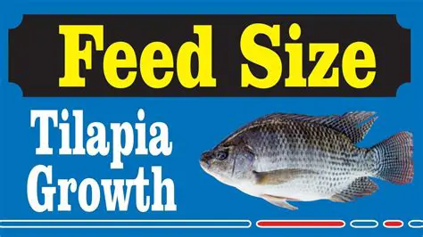 The Effect of Addition of Azolla Pinnata Flour and Fish Meal on Commercial Feed on Tilapia Growth