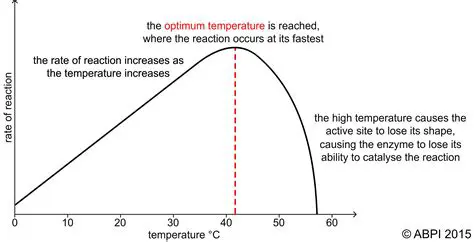 The Effect of Lowering Temperature on the Reaction