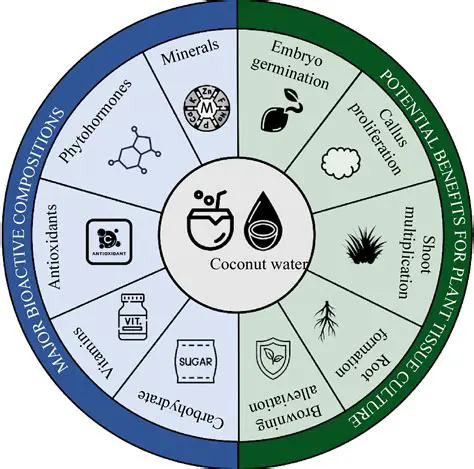 The Effect of Young Coconut Water on Micro Tuber Production
