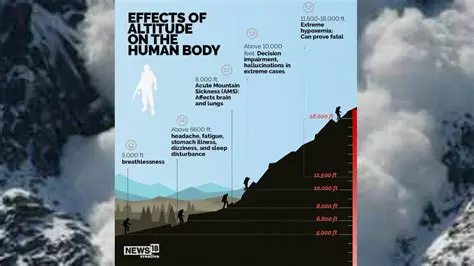 The Effects of Altitude on the Human Body