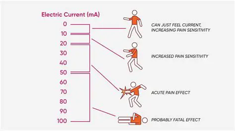 The Effects of Low Current Electrical Shock