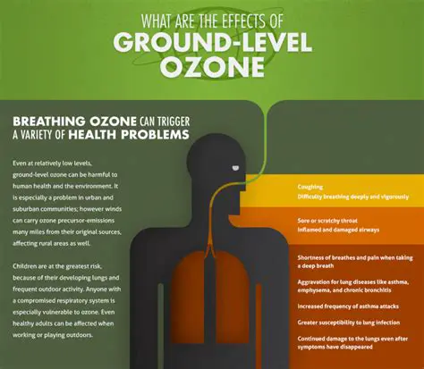 The Effects of Ozone and PAN on Human Health