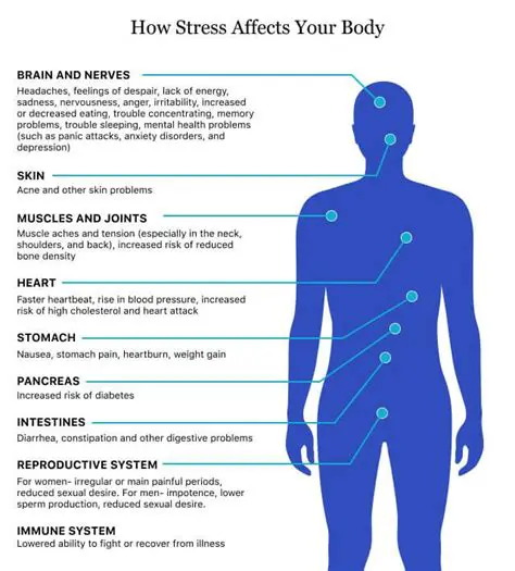 The Effects of Stress on Mental Health
