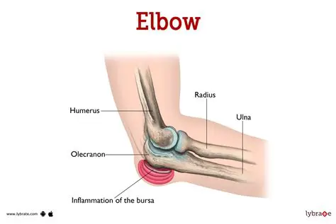 The Elbow in the Anatomical Position