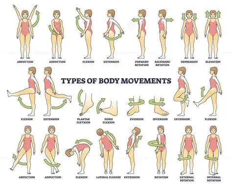 The Emergence of Basic Body Movements