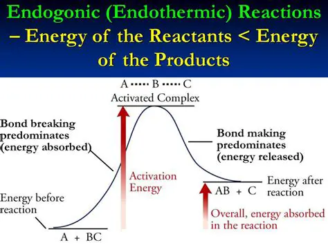 The Energy of the Reactants