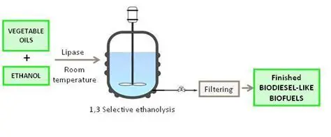 The Ethanolysis Process Using DES