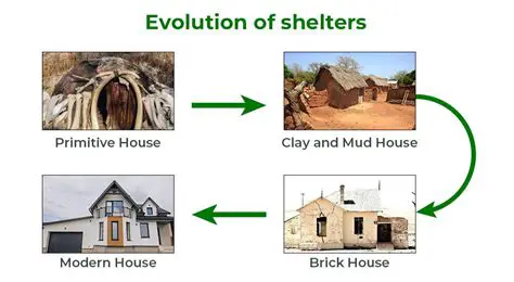 The Evolution of Intelligent Houses