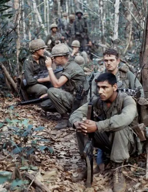 The Experience of American Infantry Soldiers in Vietnam