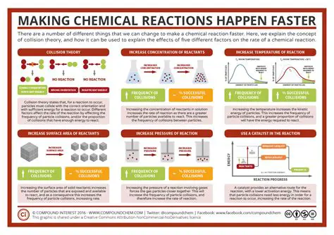 The Factors Affecting the Reaction