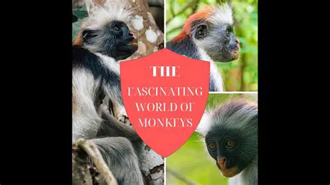 The Fascinating World of Monkeys