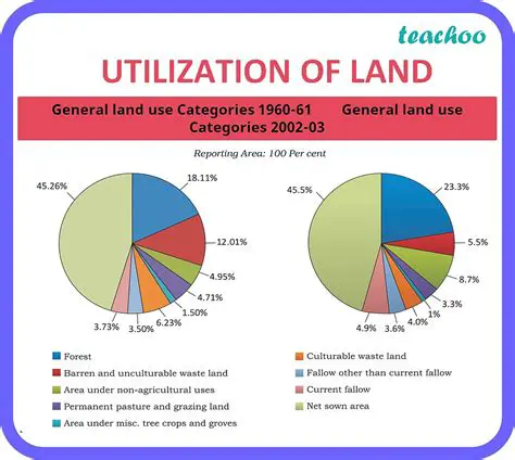 The Flats Law and State Land Utilization