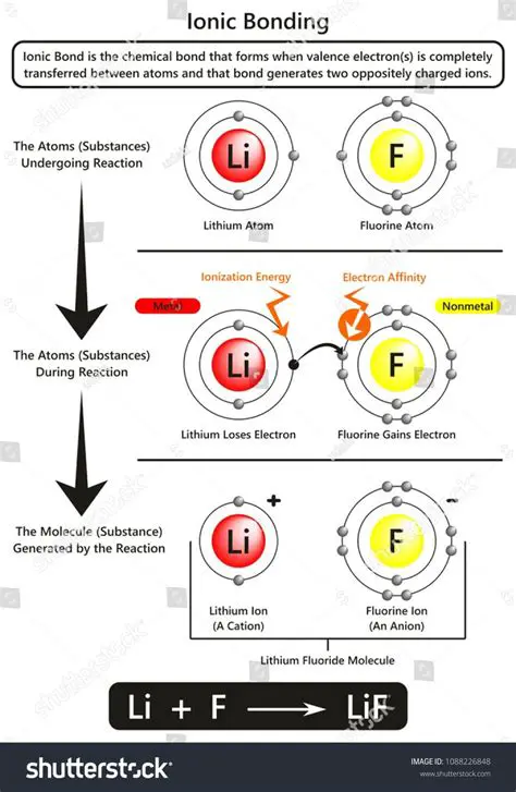 The Force Holding Elements Together in an Ionic Bond