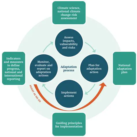 The Form of Adaptation Strategy