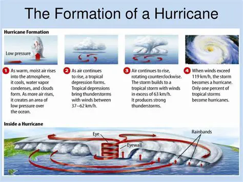 The Formation of a Hurricane