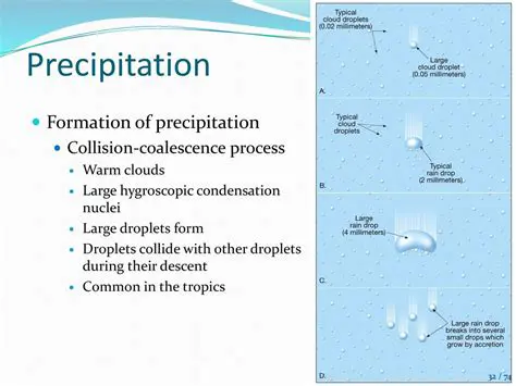 The Formation of Precipitation