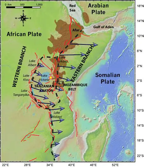 The Formation of the East African Rift System