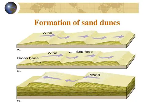 The Formation of the Sand Dunes